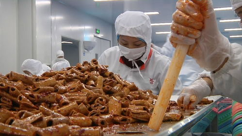 揭秘零食工廠 走進良品鋪子荊州生產基地，見證美味誕生之旅